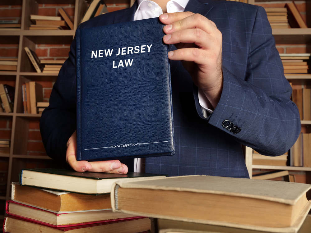 New Jersey State Constitution